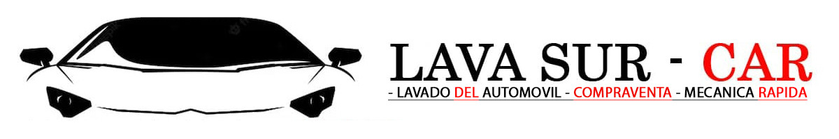 logo lavasur rectangular